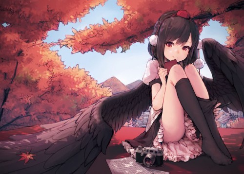 background_article-746a1082a852805281.jpg