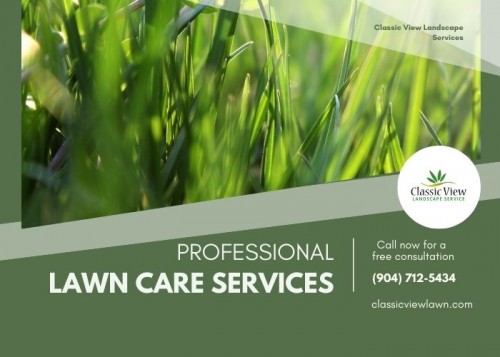 Professional-Lawn-Care-Servicesd3fd3437585922d2.jpg