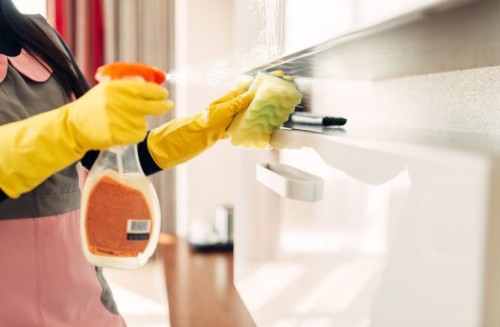 Hire-a-Professional-Cleaning-Service5fe63aeeb41d6a2f.jpg
