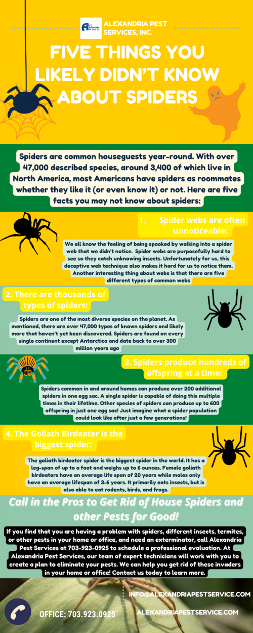 Five-Things-You-Likely-Didnt-Know-About-Spiders138aac87c90172a2.png