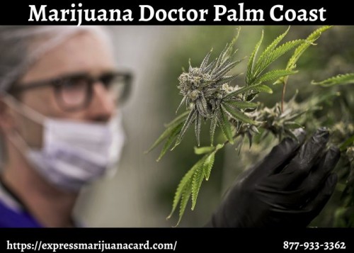 Marijuana-Doctor-Palm-Coast6225e22e4aa4cefd.jpg