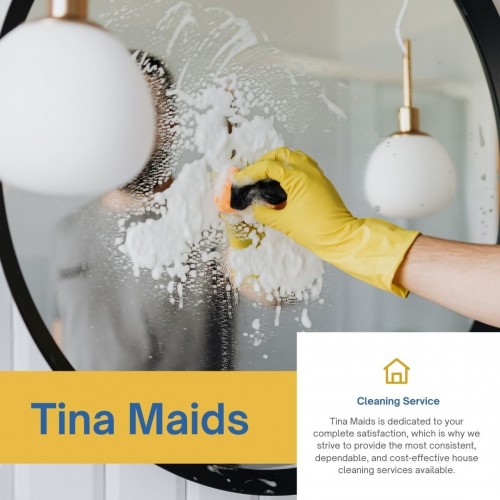 house-cleaningbc55a0a0bf185d98.jpg