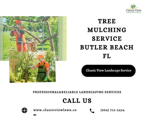 Tree-Mulching-Service-Butler-Beach-FL58d2d116417c9f57.jpg