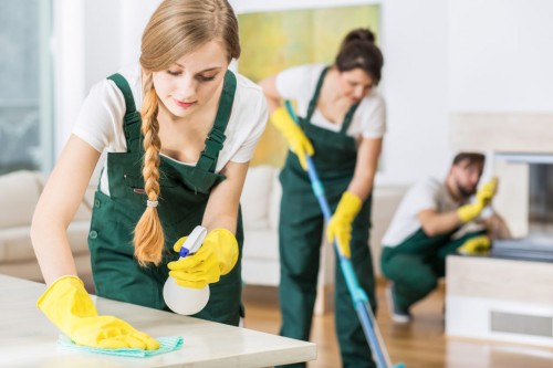 Move-Out-Move-In-Cleaning-Sevices-By-Tina-Maids105c156a2d65af46c.jpg