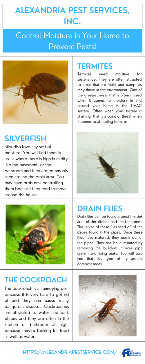 Control-Moisture-in-Your-Home-To-Prevent-Pest7e12b401d1c0ebfa.png