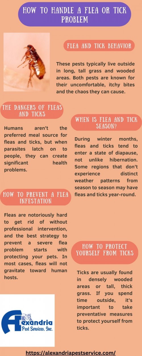 How-to-Handle-a-Flea-or-Tick-Problemd76cc9cb1e72d32e.jpg
