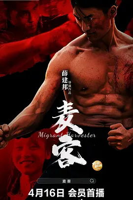 麦客海报剧照