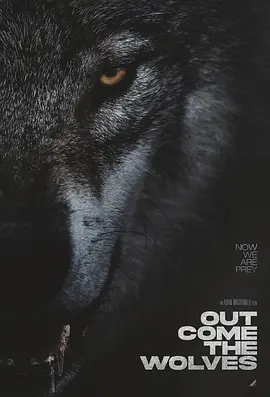 狼群出动 Out Come the Wolves海报剧照