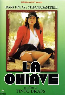欲望之翼 La Chiave海报剧照