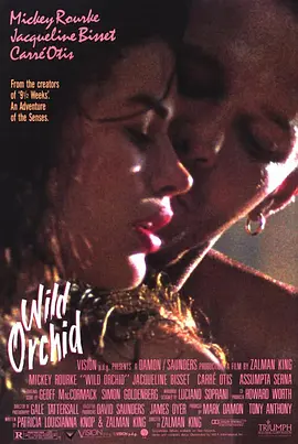 野兰花 Wild Orchid海报剧照