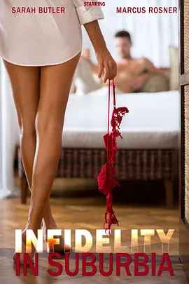 近郊奸情 Infidelity in Suburbia海报剧照