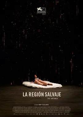 野蛮地区 La región salvaje海报剧照