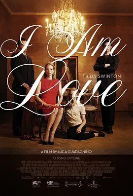 我是爱 Io sono l'amore海报剧照
