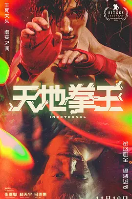 天地拳王 裡應外合海报剧照