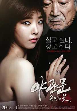 夜关门：欲望之花 야관문 : 욕망의 꽃 (2013)海报剧照
