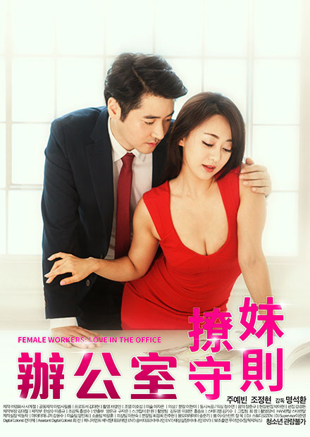辦公室撩妹守則海报剧照