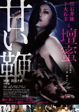 甜蜜皮鞭 甘い鞭 (2013)海报剧照