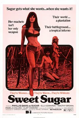 蜜糖 Sweet Sugar (1974)海报剧照