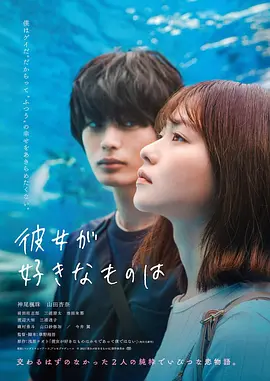 她喜欢的是 彼女が好きなものは (2021)海报剧照