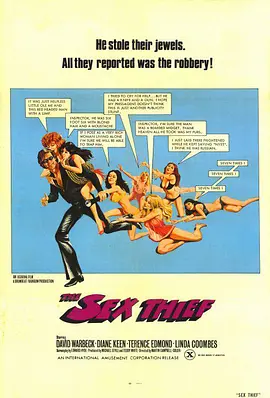 采花贼 The Sex Thief (1977)海报剧照