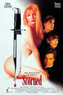 辣身危情 Scorned (1994)海报剧照