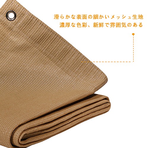 -108d7b8b65850ff95a.jpg