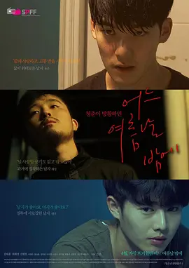 一个夏夜 어느 여름날 밤에 (2017)海报剧照