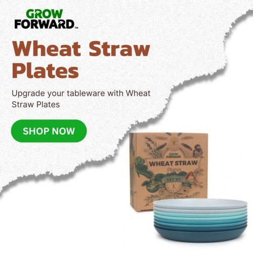 Wheat-Straw-Platesd7694aaf91d06b61.jpg