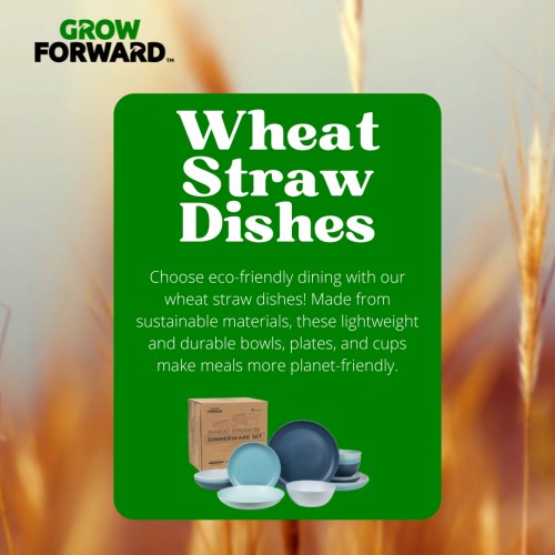Wheat-Straw-Dishesabfe070e2a83317c.jpg