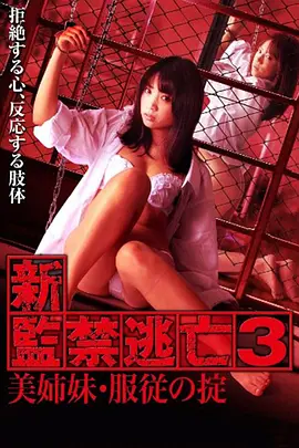 新监禁逃亡3：美姐妹服从守则 新・監禁逃亡3 美姉妹・服従の掟 (2010)海报剧照