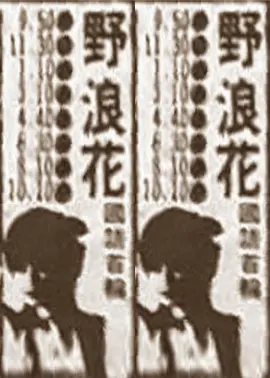 野浪花 (1987)海报剧照