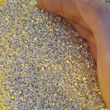 100007430100dd31a1351ea43d