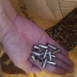 1000074310ddf097de889eb255