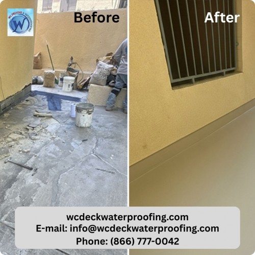 Orange-Get-your-Business-certificate-Instagram-Post049744d1143779b7.jpg