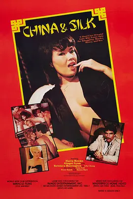 丝绸之路 (1984)