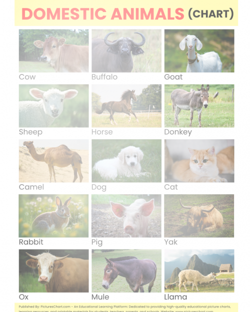 animal-chart-domesticf6b22e9647f3601d.png